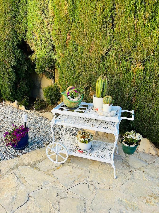 Villa Balcon Al Mar 자베아 외부 사진